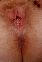 ATK hairy Gingerbabe Set