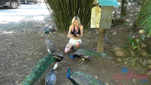 ATK Aunt Judys Haley Reed in Virtual vacation