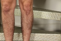 ATK hairy Harley Hex Set