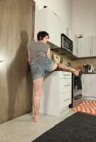 ATK hairy Harley Hex Set