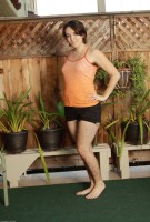 ATK hairy Harley Hex Set