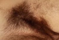 ATK hairy  in scary hairy