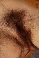 ATK hairy Harley Hex Set