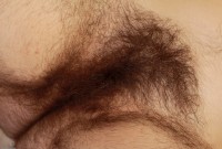 ATK hairy Harley Hex Set