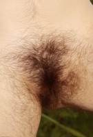 ATK hairy Harley Hex Set