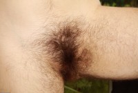 ATK hairy Harley Hex Set