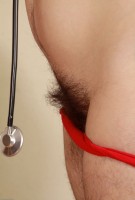 ATK hairy Harley Hex Set