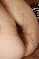 ATK hairy Harley Hex Set