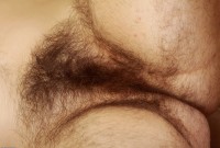 ATK hairy Harley Hex in scary hairy