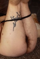 ATK hairy Harley Hex in scary hairy