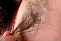 ATK hairy Harley Hex in scary hairy