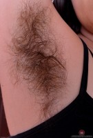 ATK hairy Harley Hex in scary hairy