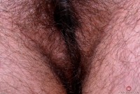 ATK hairy Harley Hex Set