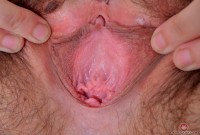 ATK hairy Harley Hex Set