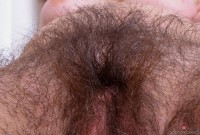 ATK hairy Harley Hex Set