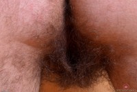 ATK hairy Harley Hex Set