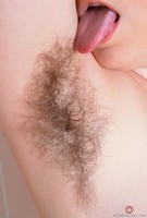 ATK hairy Harley Hex Set