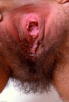 ATK hairy Harley Hex Set