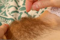 ATK hairy Hazel May Set