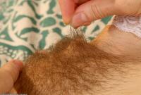 ATK hairy Hazel May Set