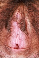 ATK hairy  in exotic and hairy