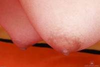 ATK hairy Hazel Heart Set