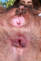 ATK hairy Hazel Heart Set