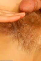 ATK hairy  in action