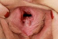 ATK hairy Heidi Hanson Set