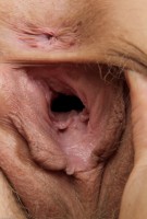 ATK hairy Heidi Hanson Set