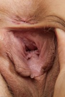 ATK hairy Heidi Hanson Set