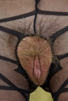 ATK hairy Heidi Hanson Set