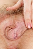 ATK hairy Heidi Hanson Set