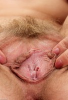 ATK hairy Heidi Hanson Set