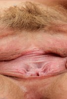 ATK hairy Heidi Hanson Set