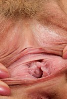 ATK hairy Heidi Hanson Set