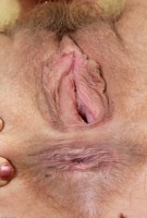 ATK hairy Heidi Hanson Set