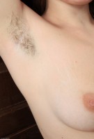 ATK hairy Hgnissa Set