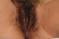 ATK hairy Holly in exotic and hairy