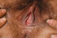 ATK hairy Holly in exotic and hairy