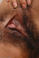 ATK hairy Holly in exotic and hairy