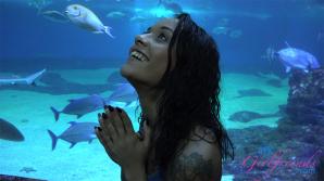ATK Aunt Judys Holly Hendrix in Virtual vacation