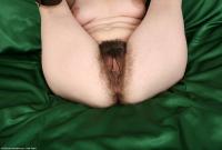 ATK hairy Honey Set
