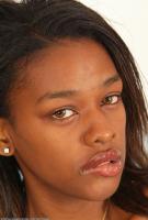 ATK hairy Icyess Set