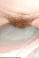 ATK hairy India Set