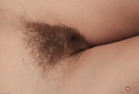 ATK hairy Susanna Set