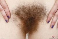 ATK hairy  in young and hairy