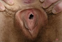 ATK hairy Ivy Addams Set
