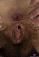 ATK hairy Ivy Addams Set