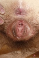 ATK hairy Ivy Addams Set